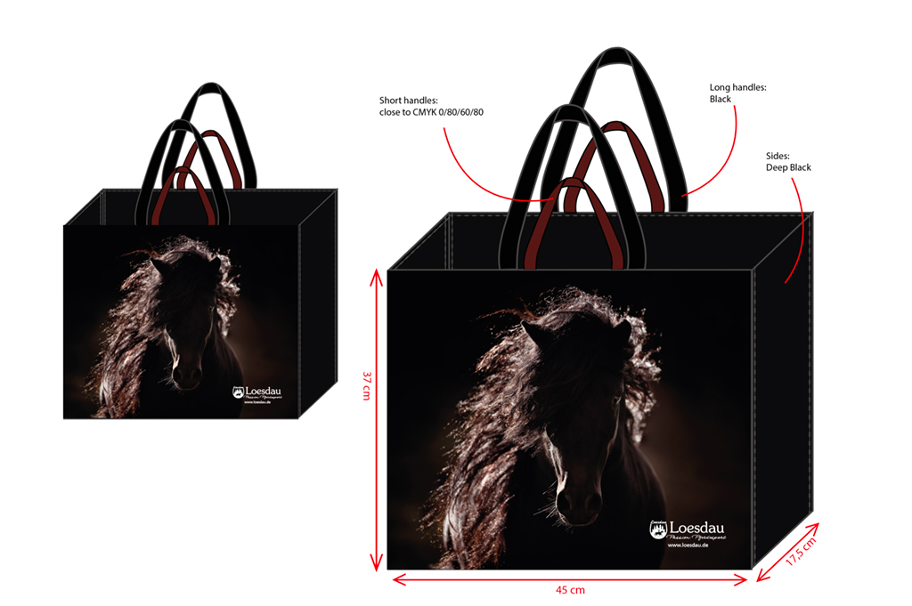 tasche